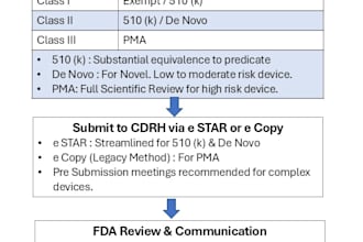 do US fda submission