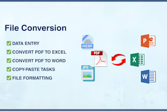 convert PDF to excel, PDF to word and do accurate data entry