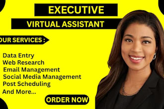 be your long term personal administrative executive  virtual assistant