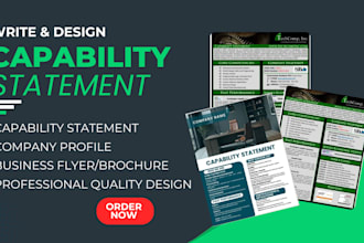 design government capability statement, capability statement,government contract