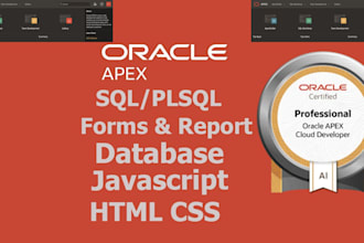 develop, design, customize oracle apex application