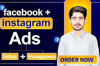 facebook, instagram, meta ads campaign manager