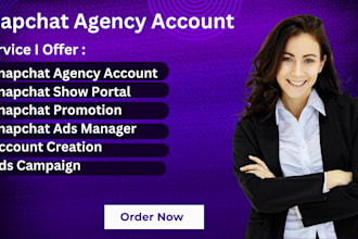 create an approved snapchat agency account, show portal, ads and campaign setup