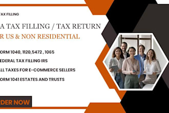prepare and file US tax returns, amended tax, forms,tax fillings for US and non