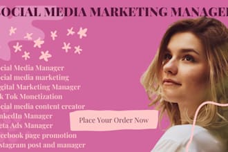 tiktok monetization social media marketing facebook page promotion instagram ads