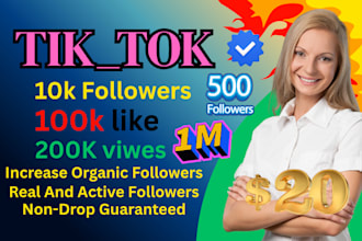 increase social media followers