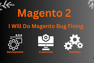 bug fix, develop, customize, maintain magento 2 store
