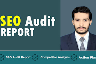 provide professional website SEO audit report and competitor website analysis