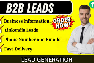 provide targeted b2b lead for your business or niche
