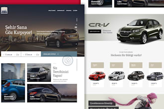 build car rental website, car wash, chauffeur, limousine, taxi booking website