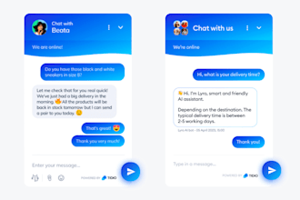 automate and setup live chat, chatbot, website chatbot, wordpress website, tidio