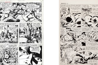 draw comic book illustration, fan art, storyboard, manga and amine