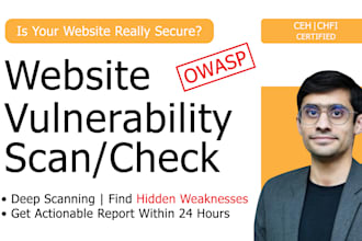do website vulnerability scan, website security check and find vulnerabilities