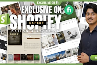 setup shopify store and shopify website