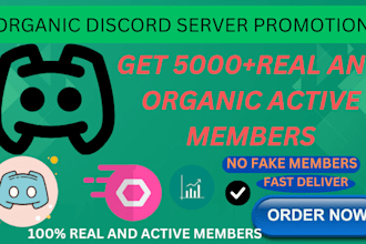 boost, grow and promote your discord server to gain more new targeted members