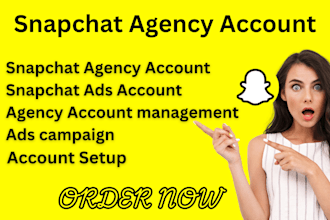 deliver approved snapchat agency account, ads manager, snapchat ads