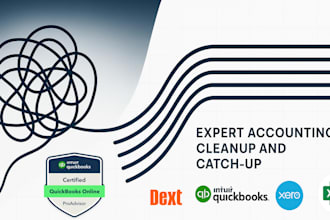 expertly clean up, catch up, and reconcile quickbooks and xero