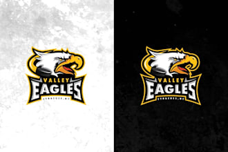 design a custom sports logo for your team