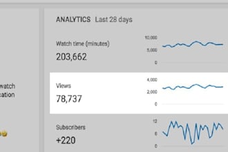 do organic USA youtube promotion to gain active views and complete monetization