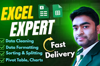 do excel data cleaning, formatting, fix any excel formulas, pivot table, charts