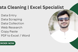 do data entry, excel data cleaning and data formatting