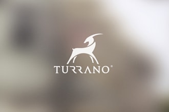 design a modern, versatile, luxury business logo