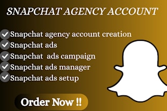 create approved snapchat account, ads manager, ads campaign, show portal