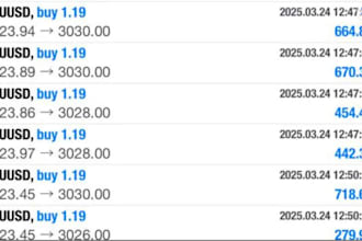 provide profitable forex trading robot, forex ea, trading robot, forex robot