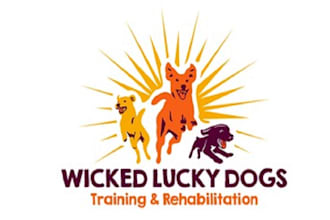 design professional dog training business logo