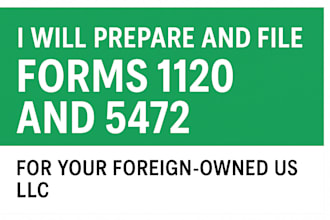 prepare tax return form 1120, 5472, 1040, form k1 1065