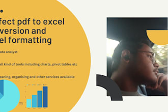 your excel and google sheets expert and data analyst