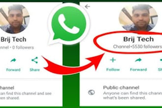 increase whatsapp followers gain 50k users,bulk message,whatsapp community group