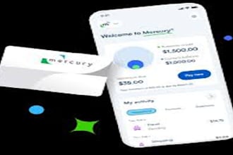 setup mercury bank, stripe , wise for your llc business