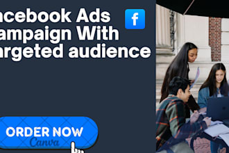 do the best facebook ads campaign with targeted audience