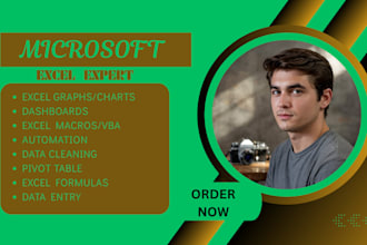 create excel graphs,charts, pivot table,data cleaning and data visualization