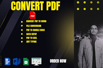 convert PDF to word PDF to exel data entry within hours