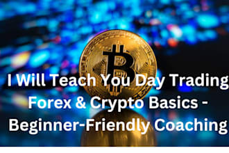 teach you day trading, forex crypto basics beginner friendly coaching