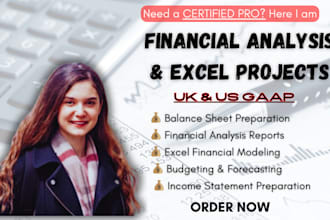 do expert accounting, finance assignment, financial analysis report, excel