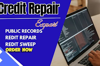 publics records manual creation, credit repair website and automation or sweep