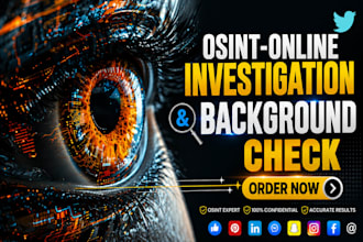 osint private investigator, detective, background check, digital investigation