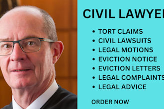 draft legal notices, power of attorney, lawsuits, motions or court replies