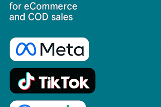 run meta and tiktok ads to boost your ecommerce sales