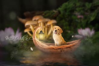 place your pet in magical boat scene and glowing fantasy