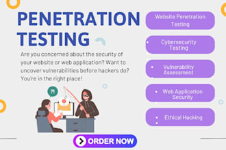 perform penetration testing on your web application