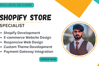 build revamp, clone and customized shopify ecommerce, dropshipping store