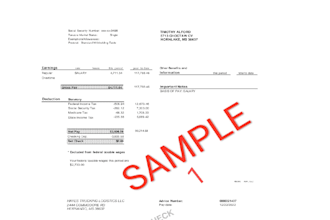 create a professional pay stub for you