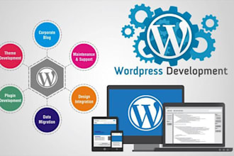 design premium wordpress website with divi, astra avada or elementor pro