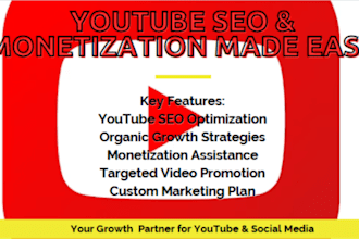do youtube SEO video optimization channel promotion organic growth strategy