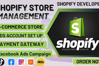 set up shopify facebook ads and instagram ads for sales ads leads