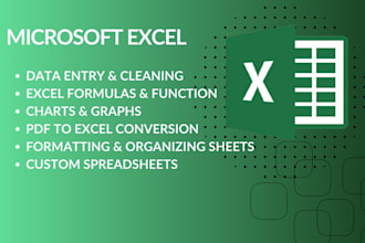 do data entry, typing, excel, word